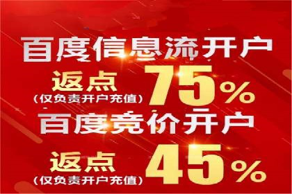 百度SEO推广案例：实战解析与效果展示
